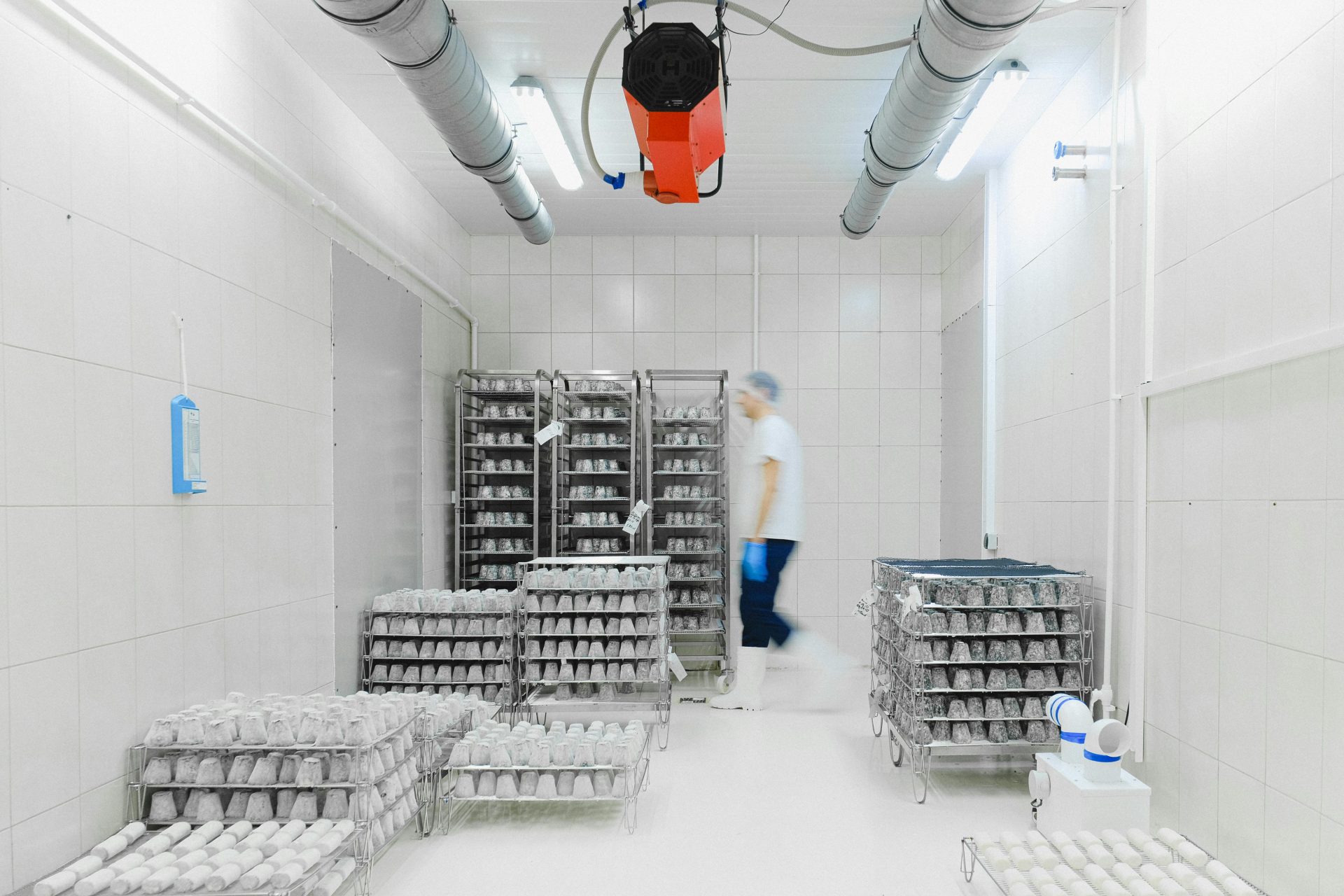 Worker in a cold storage facility with shelves of perishable goods